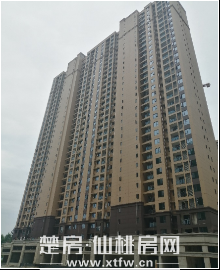 2020062909042660407volsnz.png 8.png