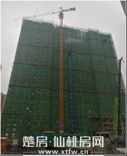 2020062909043347430yofmom.png 9.png