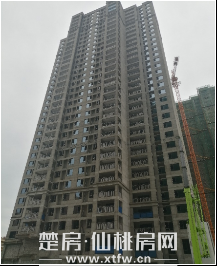 2020062909054653630rva9v4.png 11.png