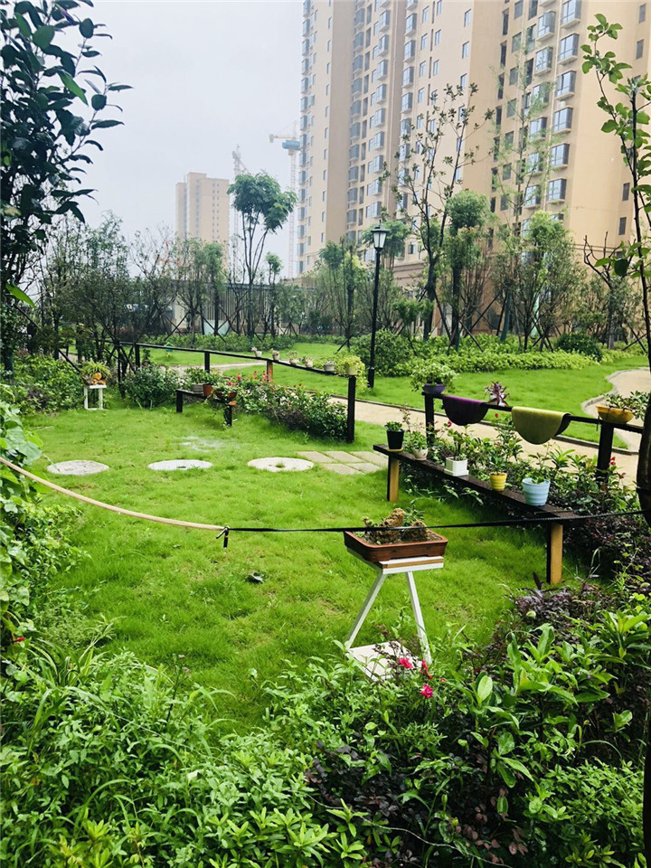 全城开启看海模式 唯时代天骄经得住风雨考验