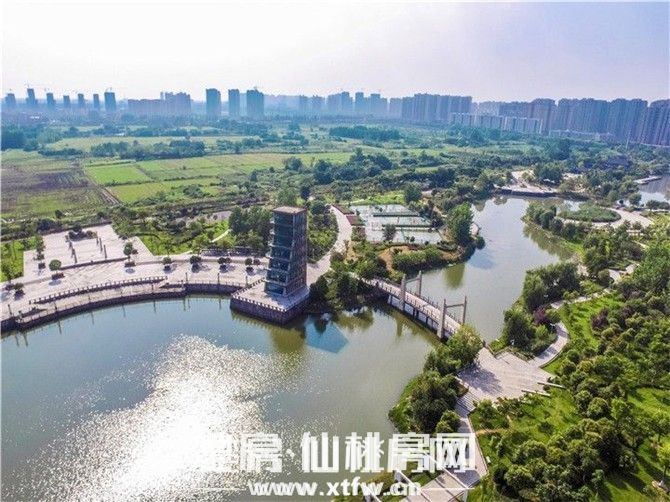 20200710174354702346xhnqz.jpg 4.jpg