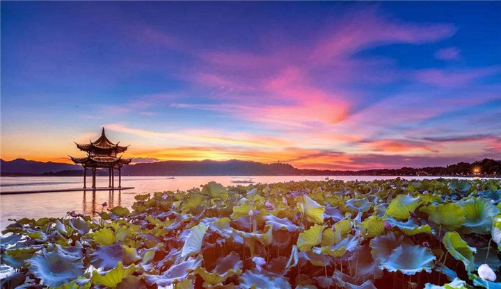 御一湖繁华盛景 阅一园锦绣无边 | 信和·御湖世家