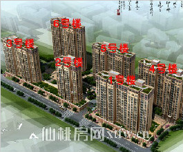 红树湾12月工程进度