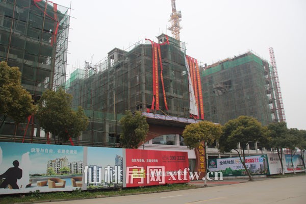 路安花苑2012年2月项目进度