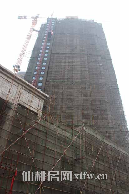 圣淘沙·国际花园三月工程进度