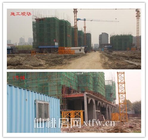 走进红树湾人文社区