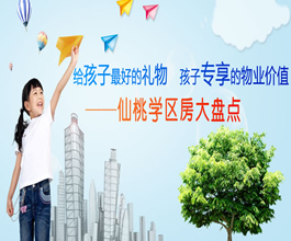 仙桃学校划分大盘点