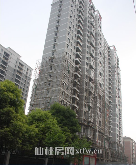 阳光·田园国际6月工程进度