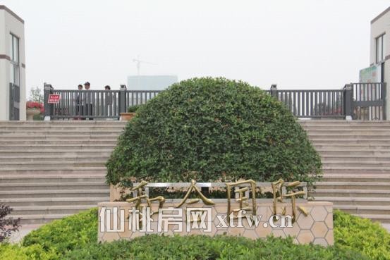 和合·国际城6月项目进度播报