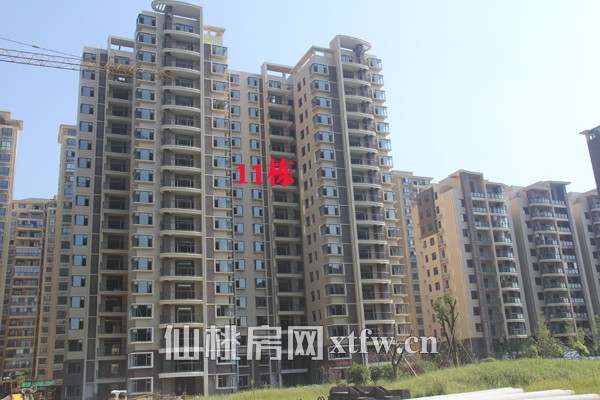 中央华府7月工程进度