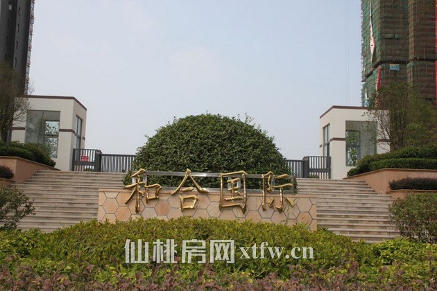 和合·国际城8月项目进度播报