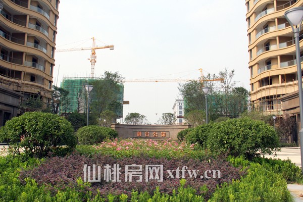 御台公馆八月工程进度播报