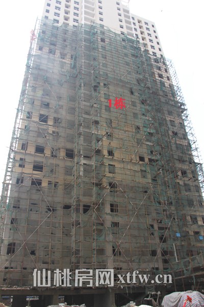 景苑花园9月项目进度