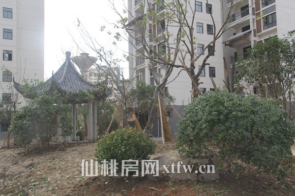 水云间10月项目进度：河景小高层即将交房