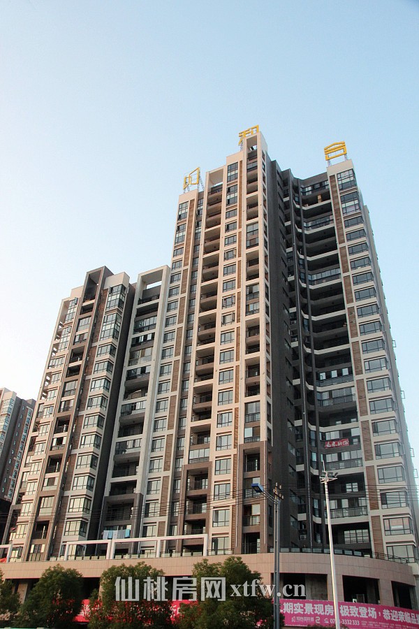 和合·国际城十月工程进度