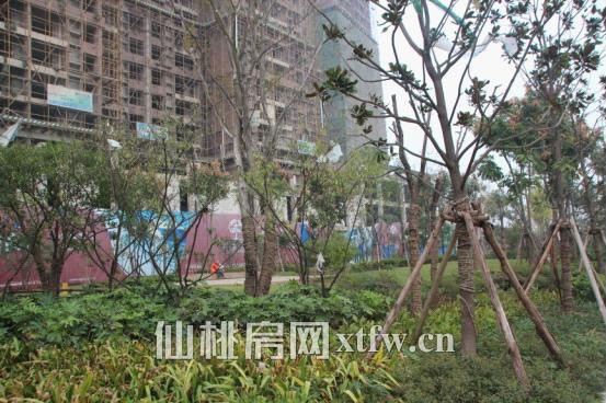 漫城林语10月项目进度