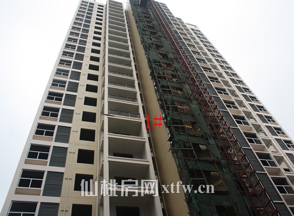 景苑花园11月工程进度