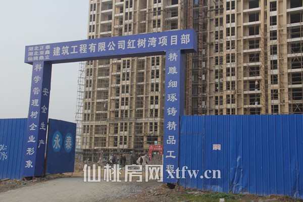 百年学府，文脉之所红树湾12月项目进度