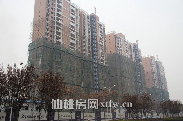 紫金城12月项目工程进度