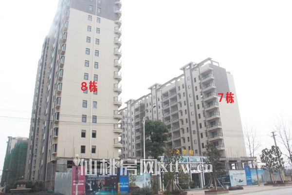 中央华府12月工程进度