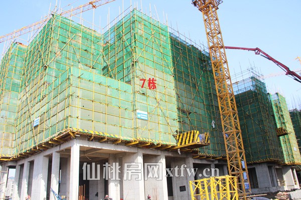 翰林公馆十二月工程进度