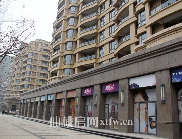 公园世家1月项目进度