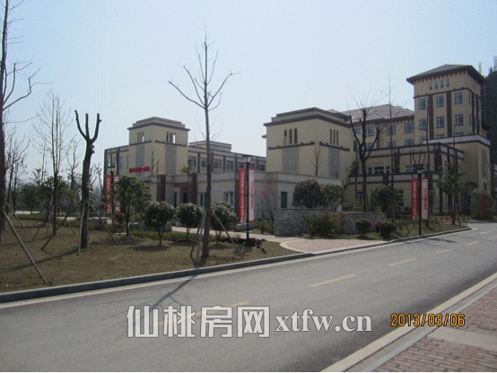 满庭春MOMA2013年3月项目进度