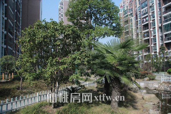 香岸华府3月工程进度