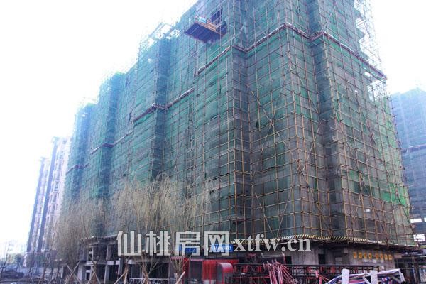 中央华府3月项目施工进度