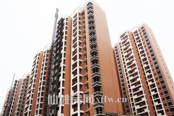 紫金城3月工程进度 一期绿化开始施工