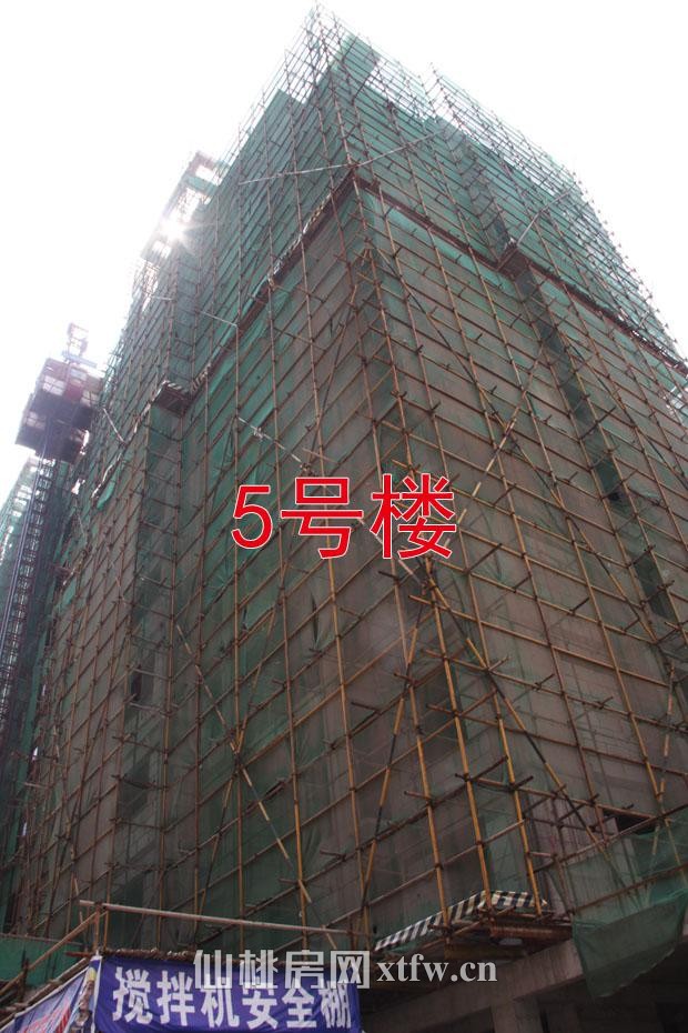 中央华府五月工程进度 绿化已基本完成