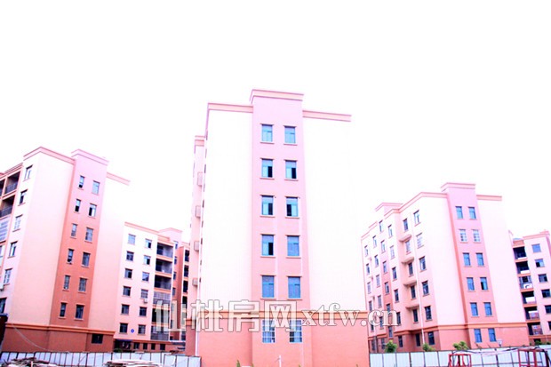 中岭康城7月项目进度