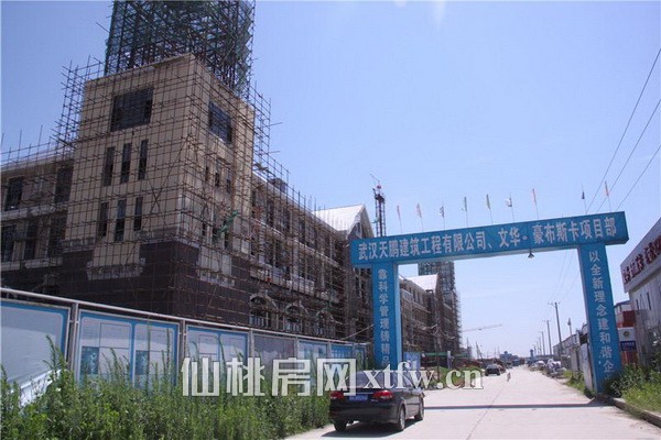 文华·豪布斯卡7月项目进度