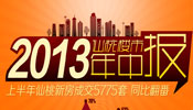 2013仙桃楼市年中报