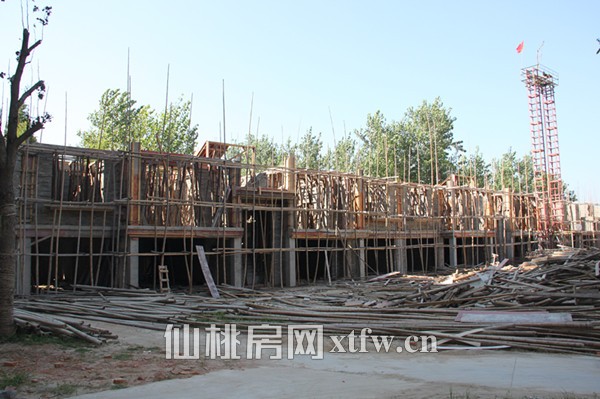 金色华府2期八月工程进度