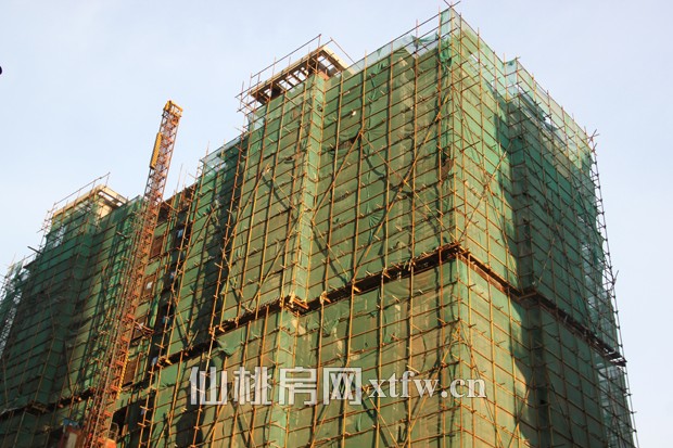 中央华府8月工程进度