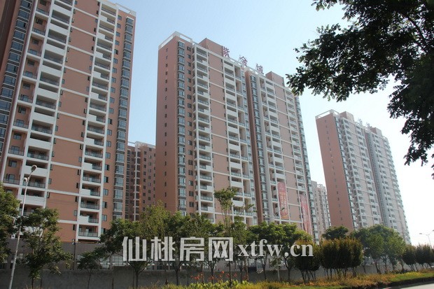 紫金城8月项目进度