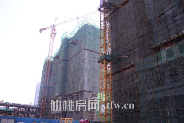 3#楼建至约15层左右