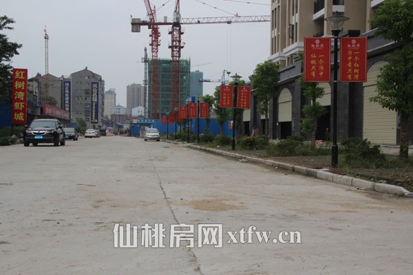 红树湾9月项目进度