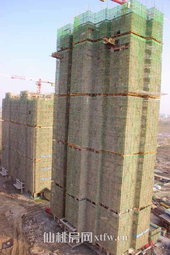 满庭春MOMA 11月份工程进度