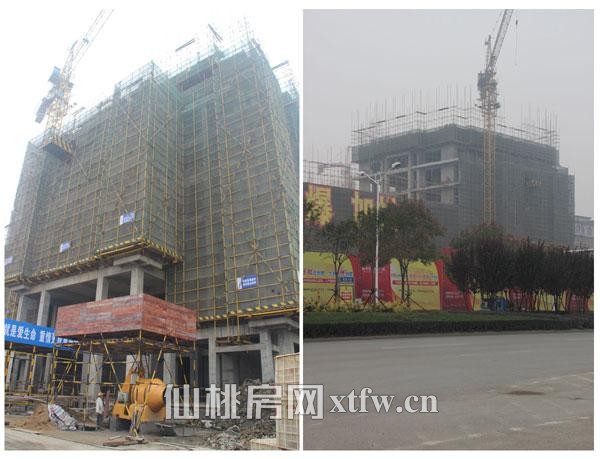 新天地国际广场11月工程进度