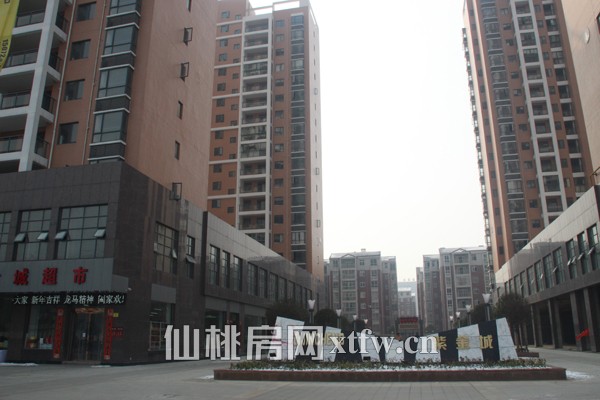 紫金城2月工程进度 9号楼预计年底交房