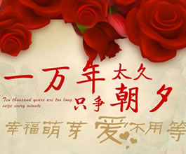 春季攻势之情人节：幸福萌芽 爱不能等