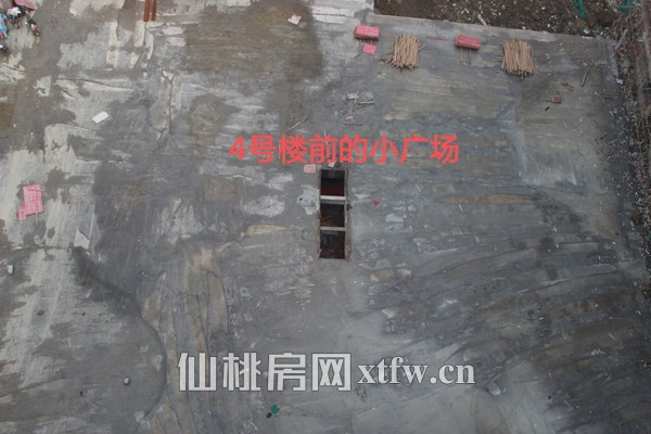 4号楼前的小广场