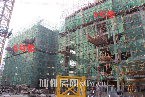 5#和6#同3#的进度差不多，都是建到8层左右。
