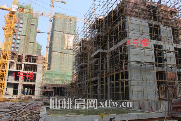 1#和4#的进度相对慢一些，主体结构建到了4层。4#预计会在4月份推出。