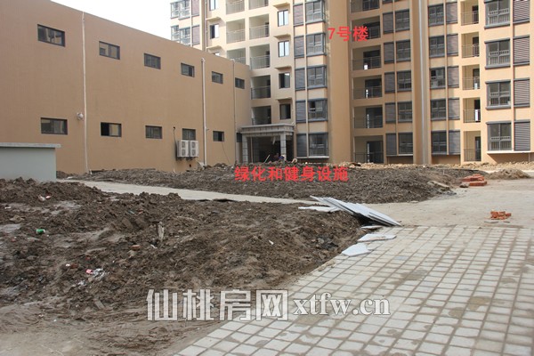 7号楼前的绿化施工