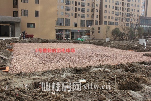 5号楼前的羽毛球场