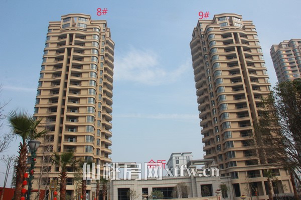 　　8#、9#楼