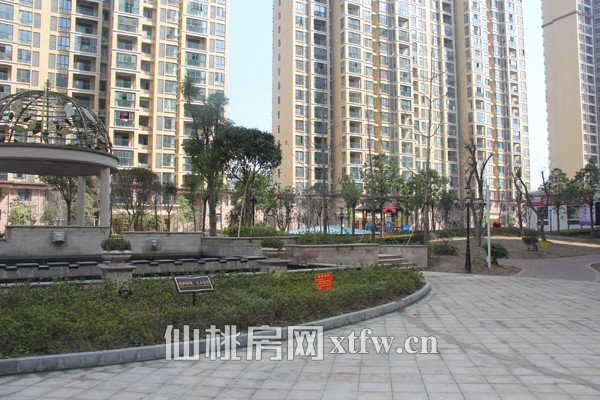 一组团内景观实景